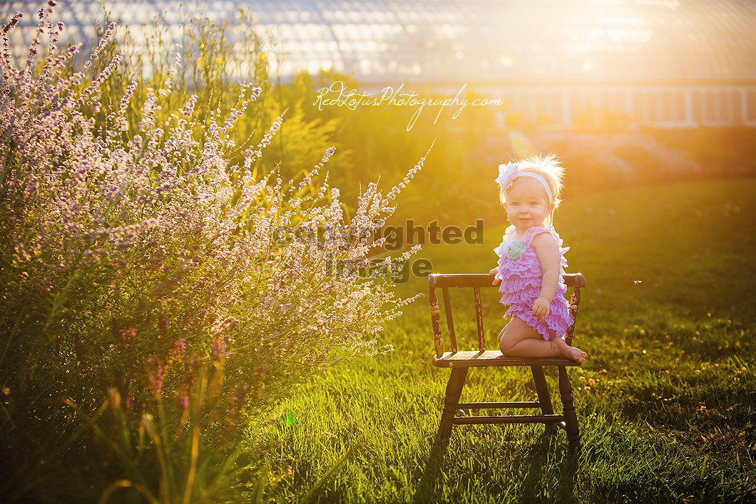 photo-session-phipps-conservatory-1
