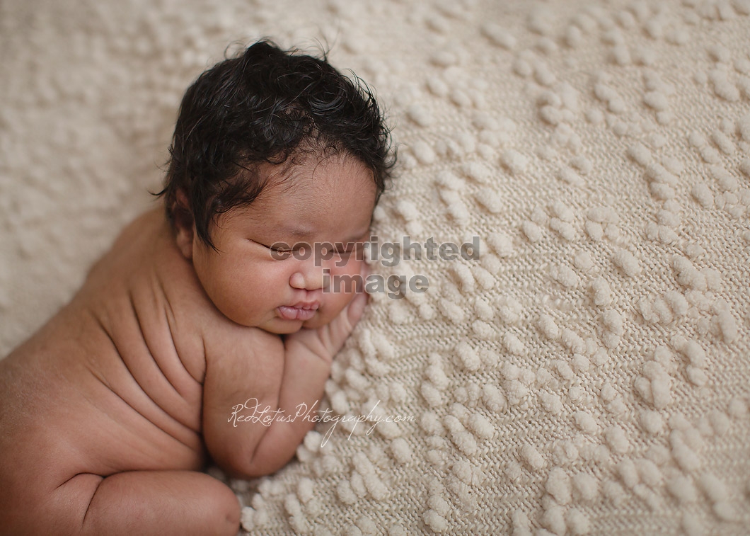 newborn-photography-pittsburgh-01