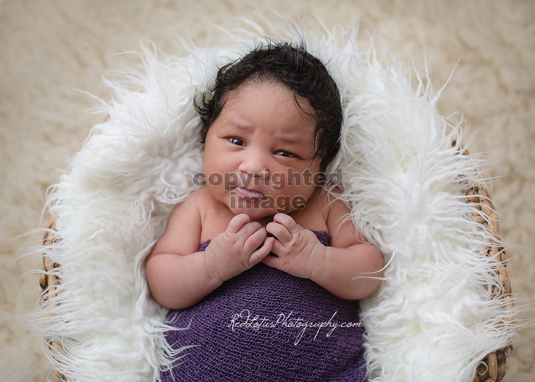 newborn-photography-pittsburgh-02