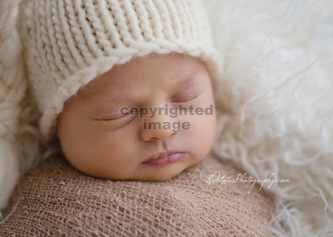 Pittsburgh-newborn-photographer-02