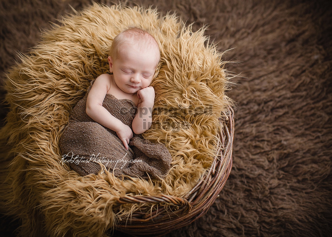 infant-photographer-Pittsburgh-02