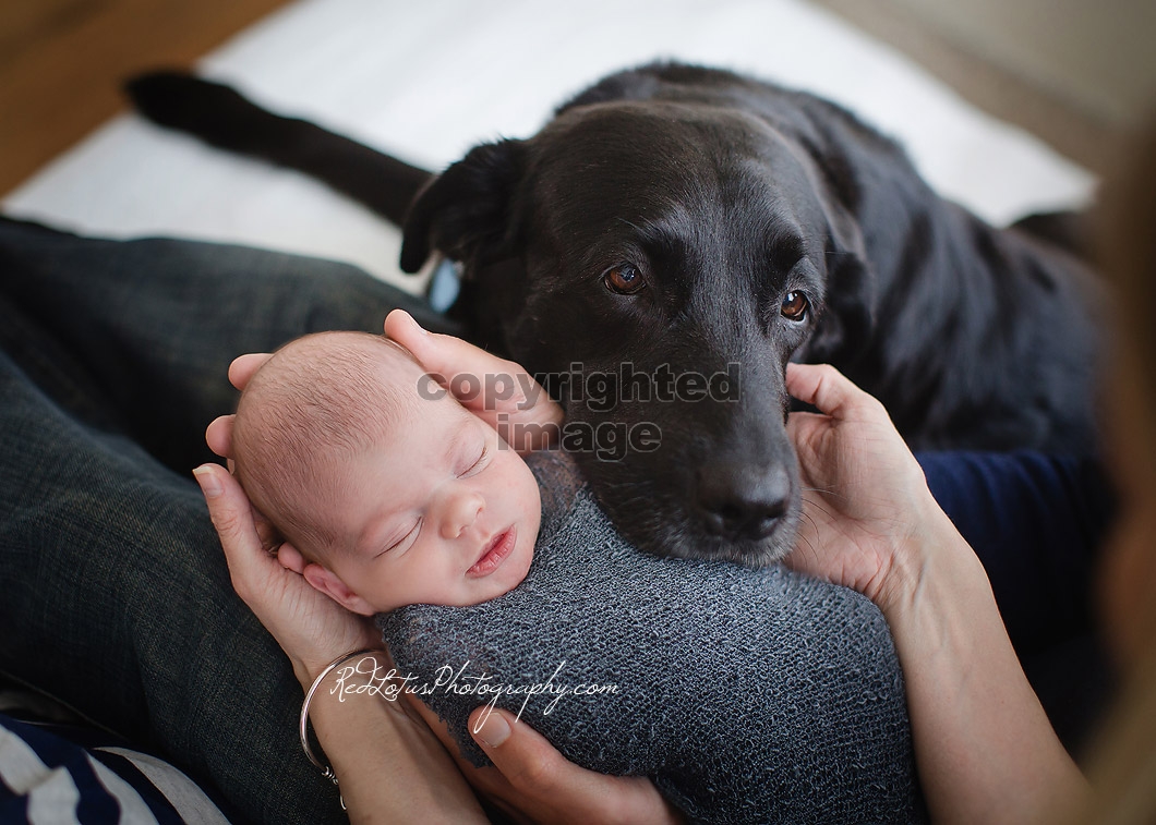 newborn-baby-photographer-03