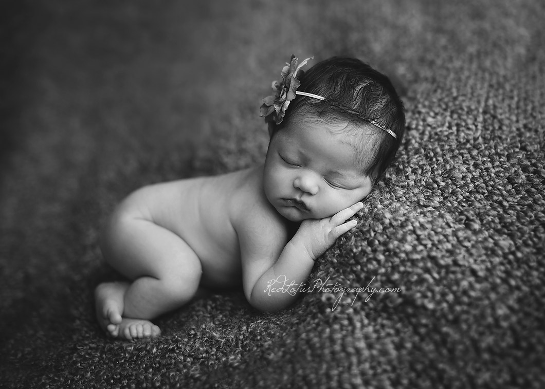 newborn-photographer-01
