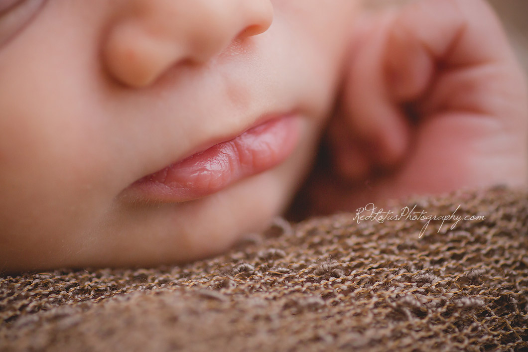 newborn-photography-pa-14
