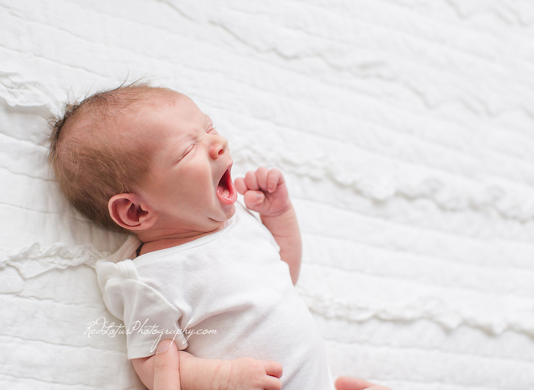 newborn-photography-pa-20