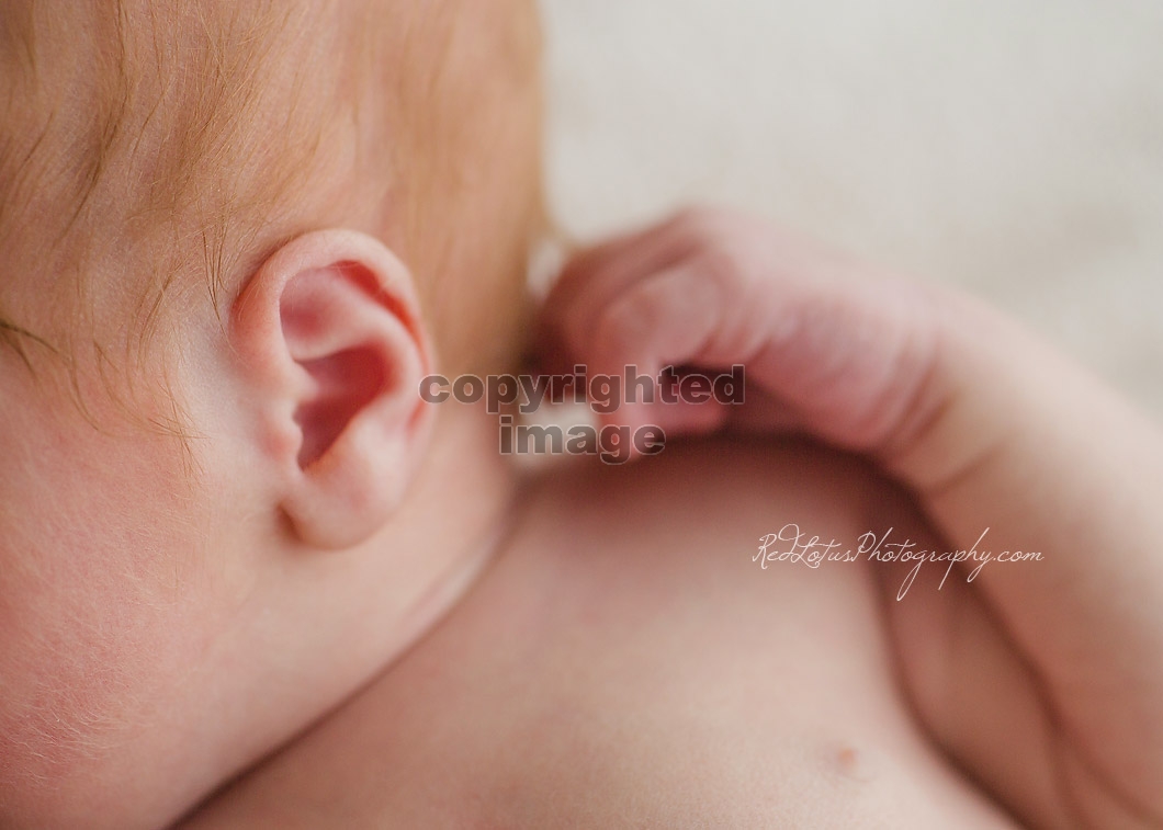 close up newborn photography of baby ear