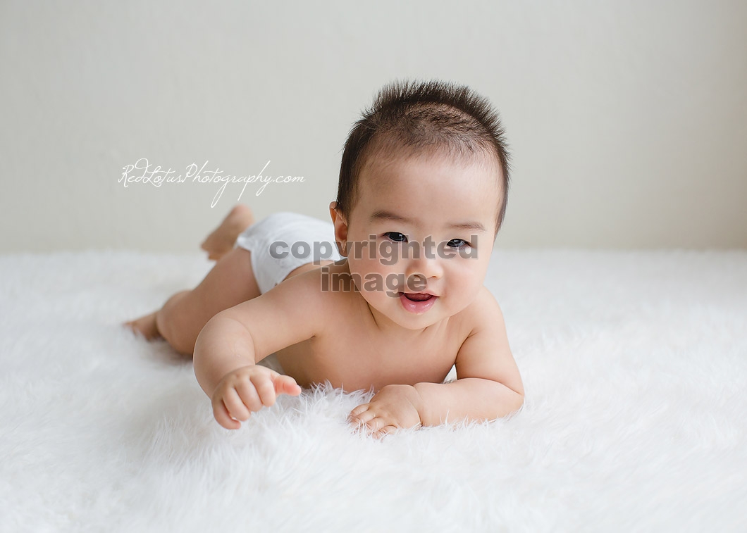 8-month old baby photos on a neutral classic backdrop