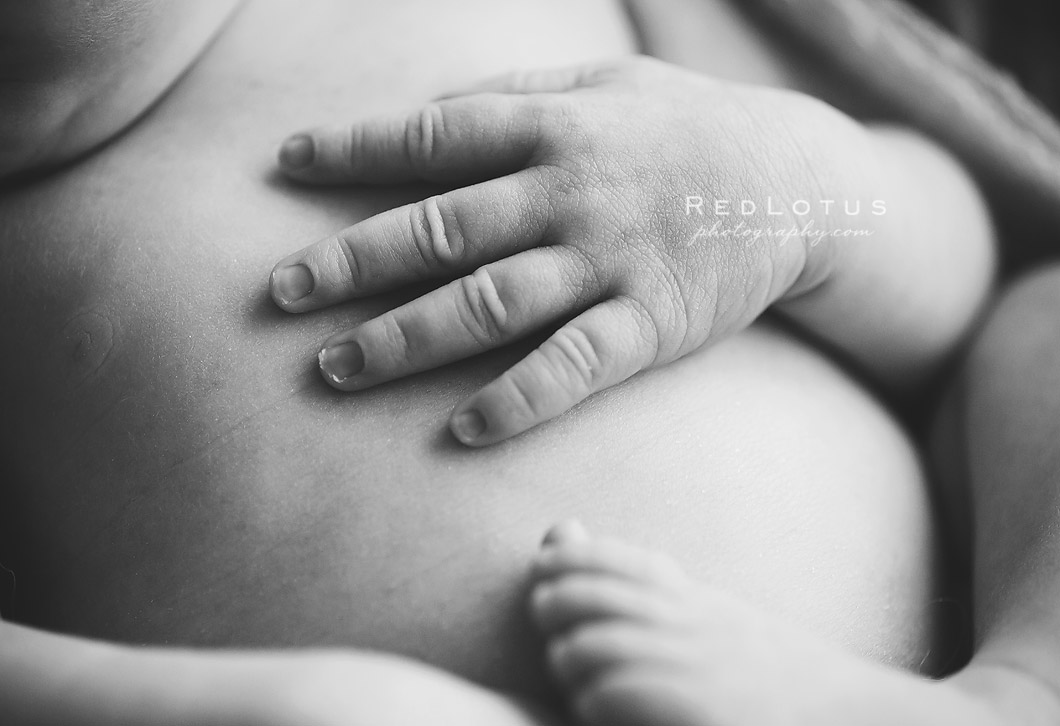 newborn details baby hands