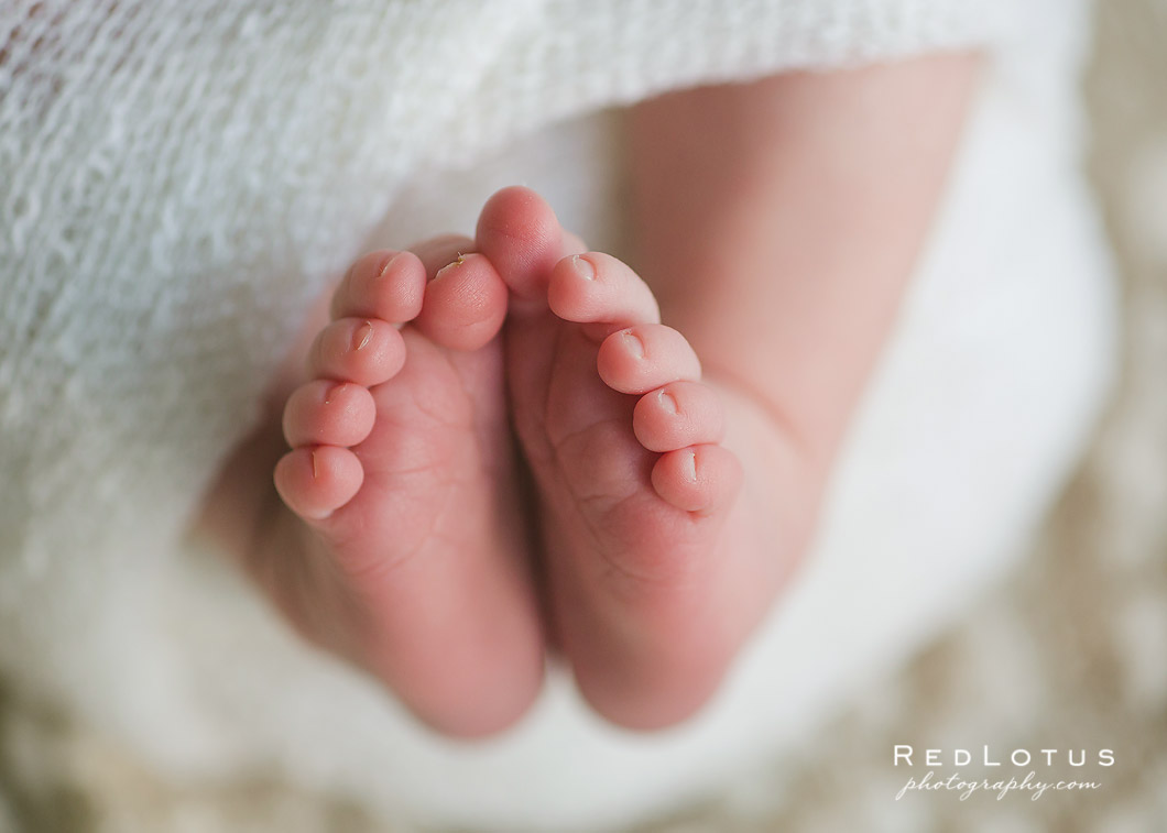 newborn photos details baby feet