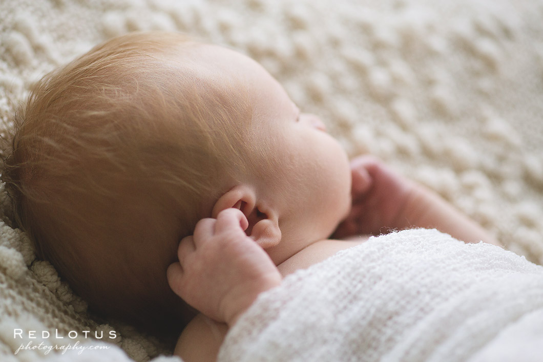newborn photography
