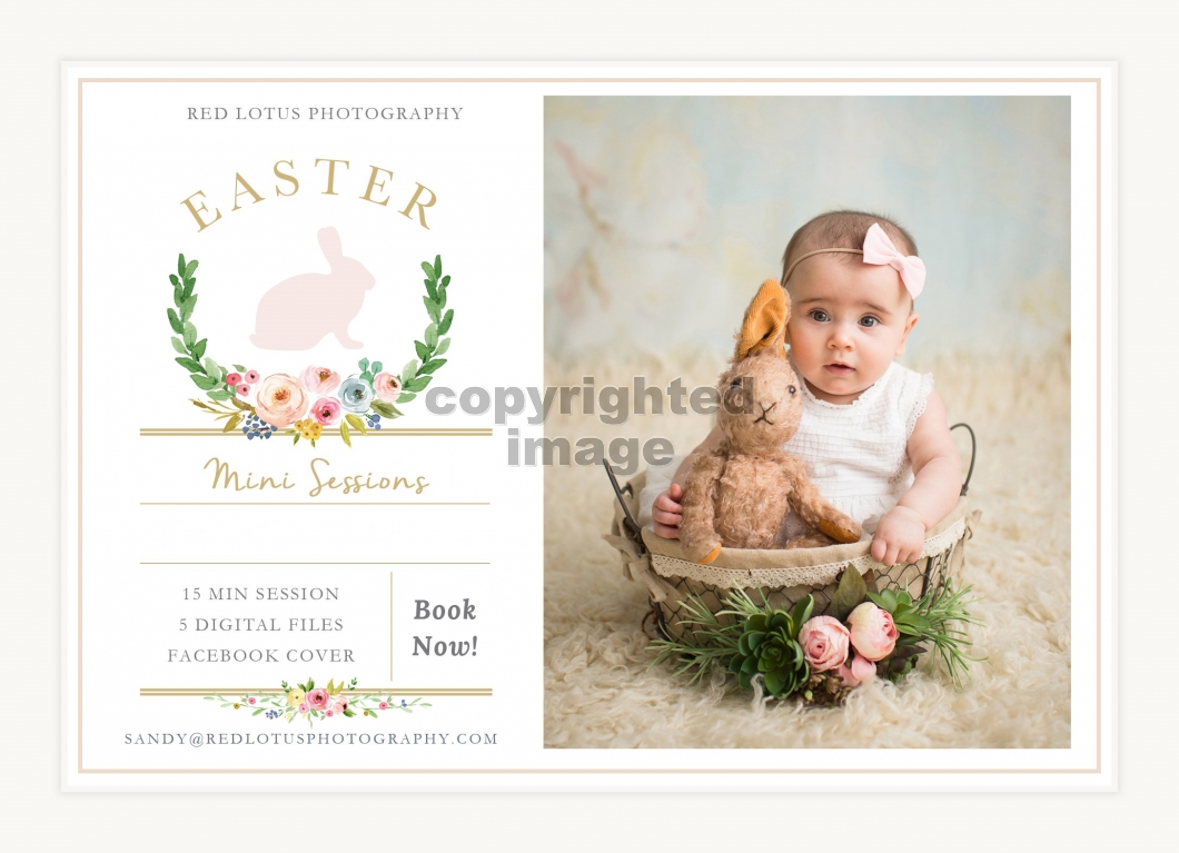 Spring Family Pictures