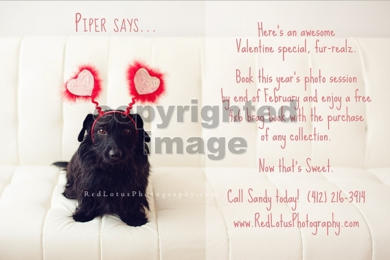 Valentines Day Baby Photo Shoot