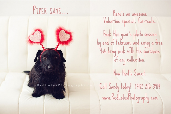 Valentines Day Baby Photo Shoot
